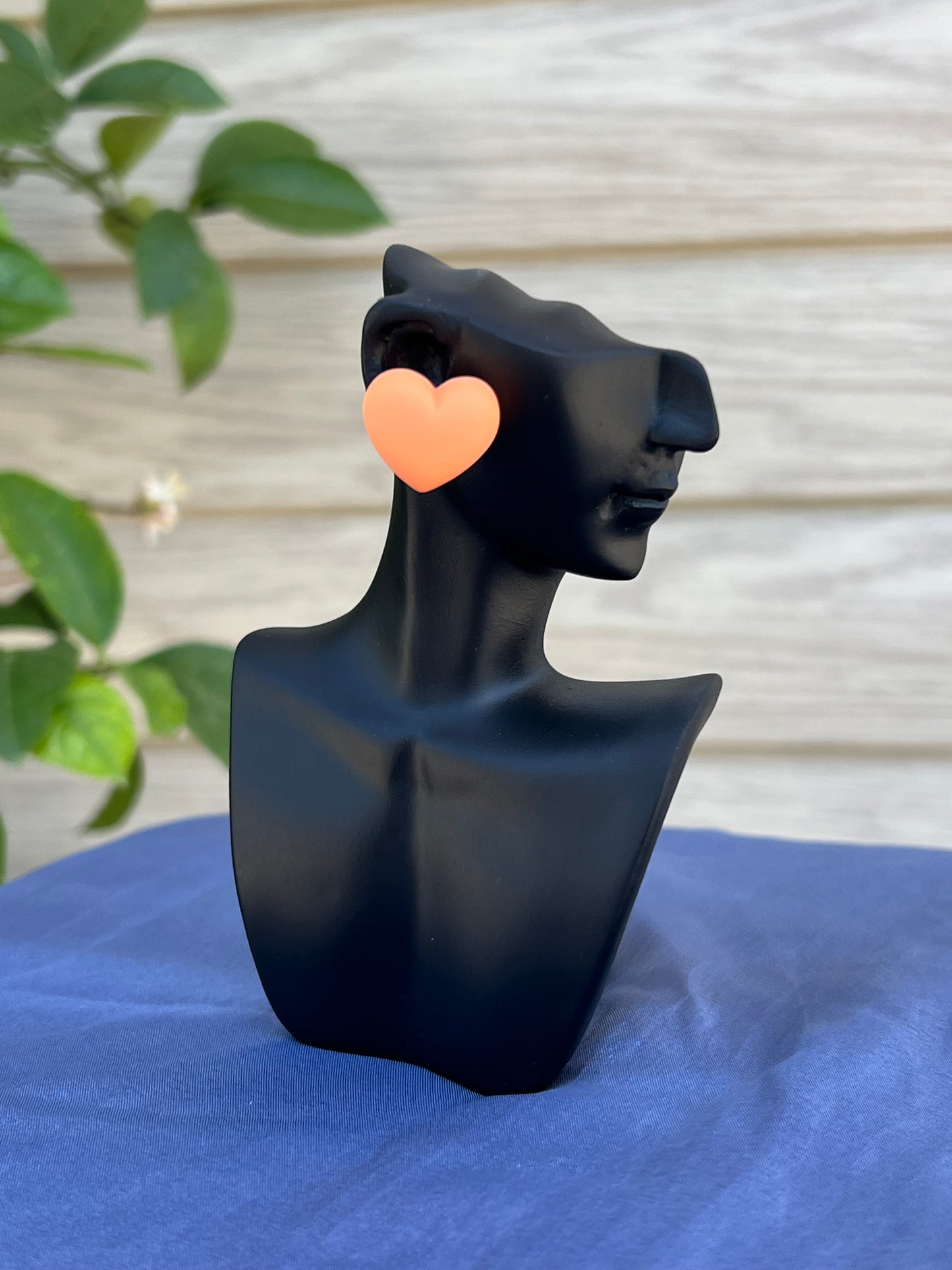 Cerceii Inimi Pastelate